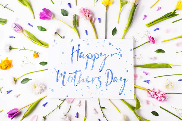 istock Mothers day composition. Flowers on white background. Studio shot. 952117104