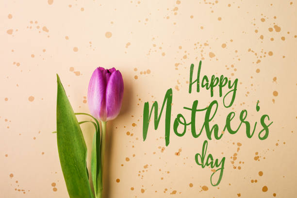 istock Happy mothers day sign and flower composition. Studio shot. 952117212