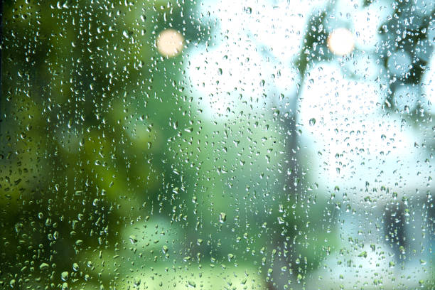 gota de lluvia en el cristal de la ventana con el fondo del árbol. día de lluvia - fog wet rain tree fotografías e imágenes de stock