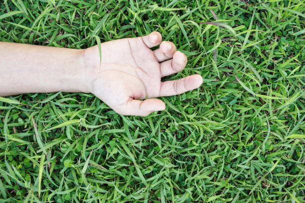 istock unique perspective hand grass relax happy time 952121604