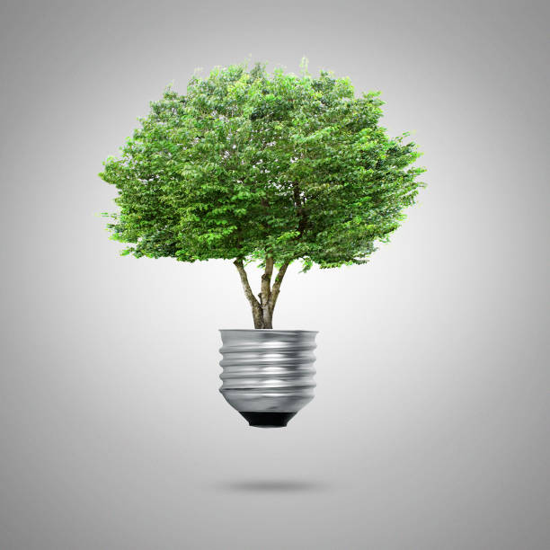 istock Green energy symbols ecology, light bulb 952134550