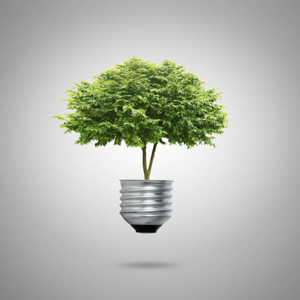 istock Green energy symbols ecology, light bulb 952134574