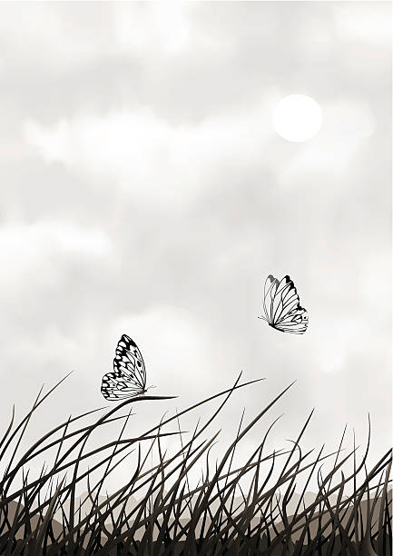 illustrazioni stock, clip art, cartoni animati e icone di tendenza di bianco e nero paesaggio con farfalle - black veined white butterfly