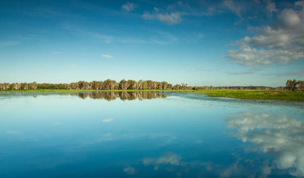 istock Yellow Water wetlands 952141820