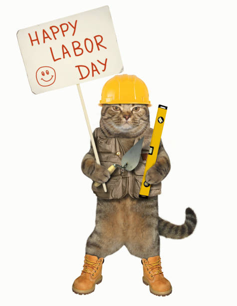 istock Cat in shoes with a trowel 952178278