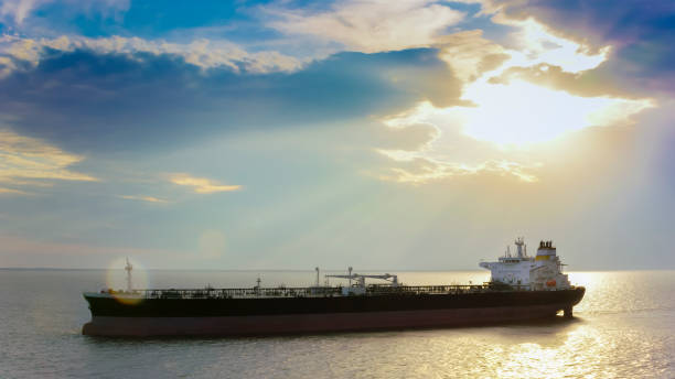 istock Large cargo ship sailing the sea at sunset 952187562