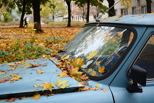 Yellow leaves on the old retro car. Vintage broken auto under trees in the park in fall season. Kharkiv, Ukraine