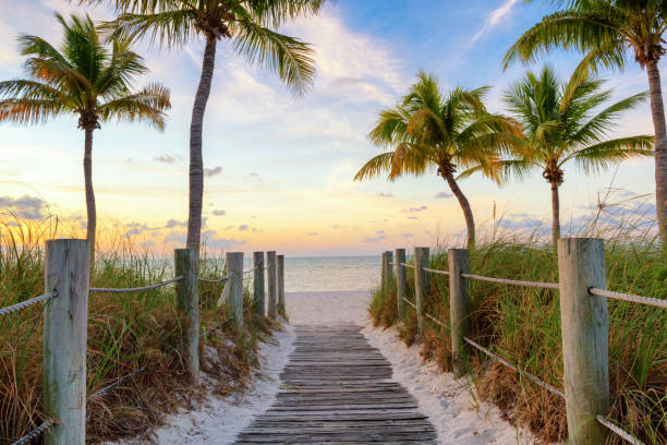 istock Footbridge to the beach 952258082