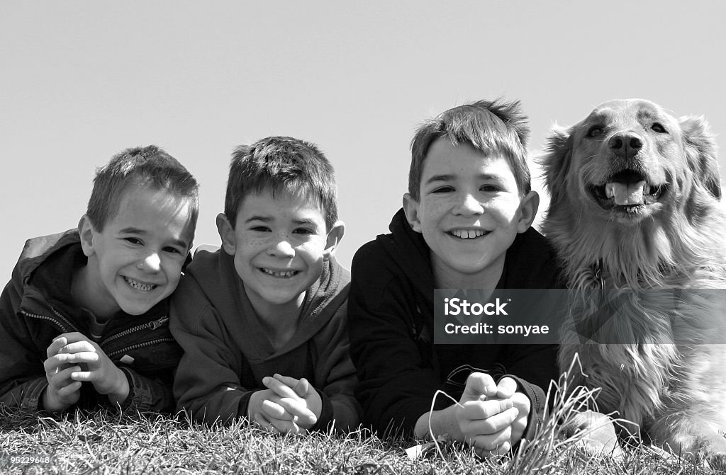 Boys with the Dog  Animal Stock Photo