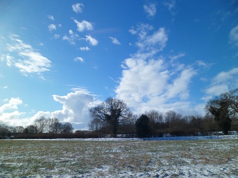 Snow-dusted field and trees