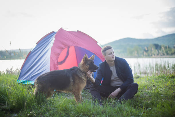 istock Man Traveling With Dog, Camping In Nature. 952309122