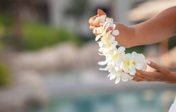 flower lei garland - women hawaii islands beach beauty in nature imagens e fotografias de stock