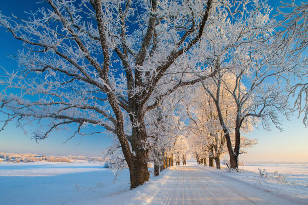 istock Winter landscapes, road, snow-covered trees. Very beautiful time. 952313268