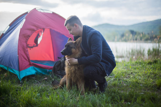 istock Man Traveling With Dog, Camping In Nature. 952313604