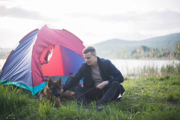 istock Man Traveling With Dog, Camping In Nature. 952313610