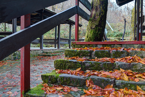 Stone staircase with dry leaves