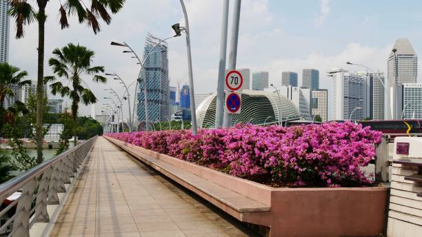 SINGAPORE, SINGAPORE—MARCH 2016: One of the scenic streets and walkways covered with flowers with the Singapore business district in the background. Singapore is known as the city of flowers.