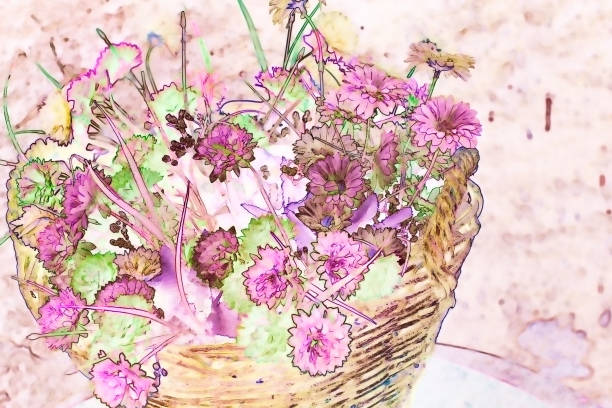 Flower chrysanthemum in wicker basket made with watercolor techniques - illustration