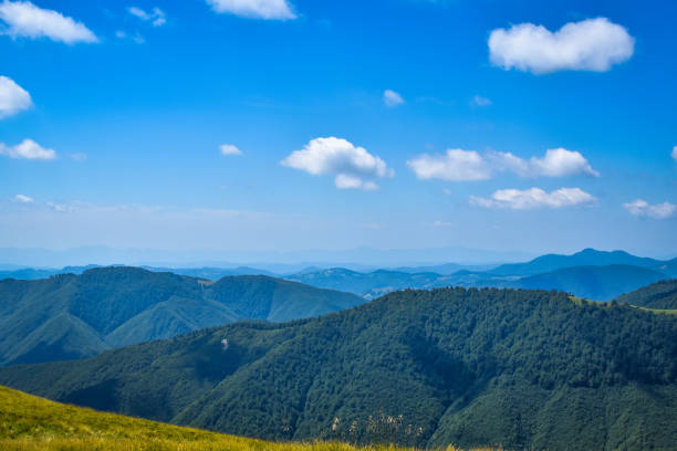 istock Polonyna Krasna 952333854