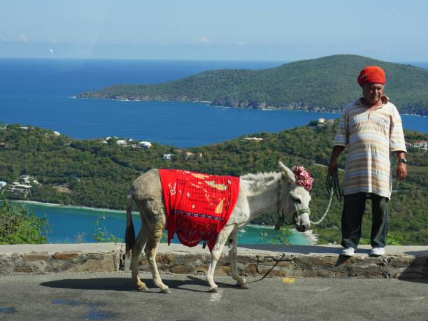 DUSHANBE, TAJIKISTAN. August 06, 2019. A peasant on a donkey rides along the Pamir highway on his own business. The use of donkeys is traditional in Central Asian countries