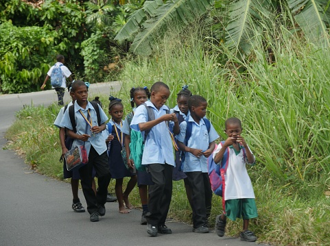 ST LUCIA, CARIBBEAN ISLANDS—MARCH 2017:  Elementary students walking along the highway of St. Lucia from school.