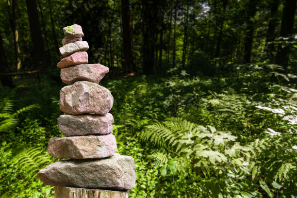 Stacked stone pyramid in front of a meadow with ferns