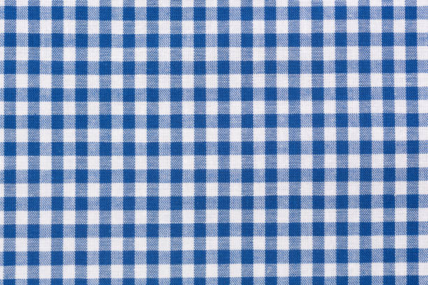 파란색과 흰색 체크 무늬 식탁보 - blue gingham 뉴스 사진 이미지