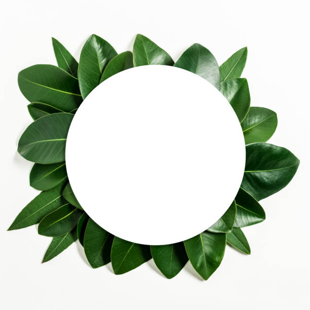 istock Creative layout made of leaves with paper card note. Flat lay. Nature concept. 952355376