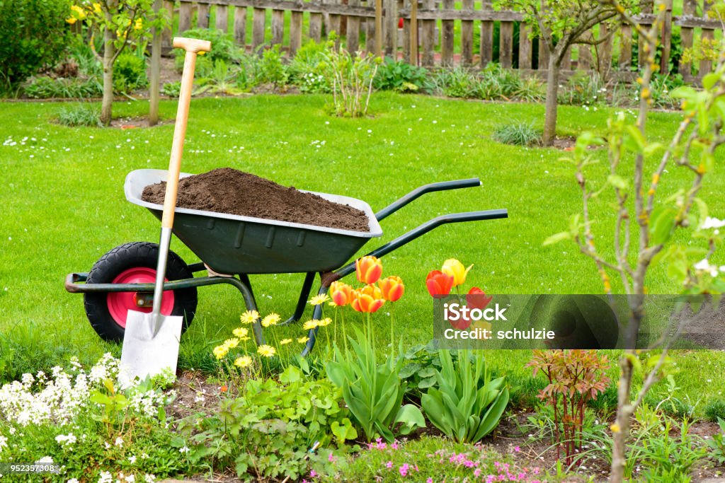 Compost Wheelbarrow with compost for the flowerbeds Yard - Grounds Stock Photo