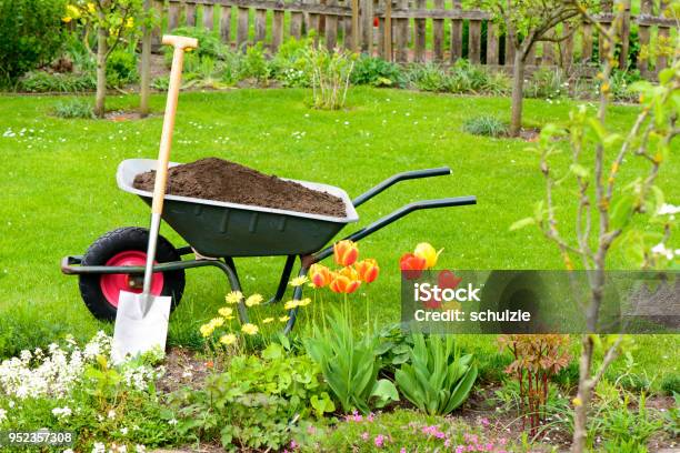 Compost Stock Photo - Download Image Now - Yard - Grounds, Gardening, Springtime