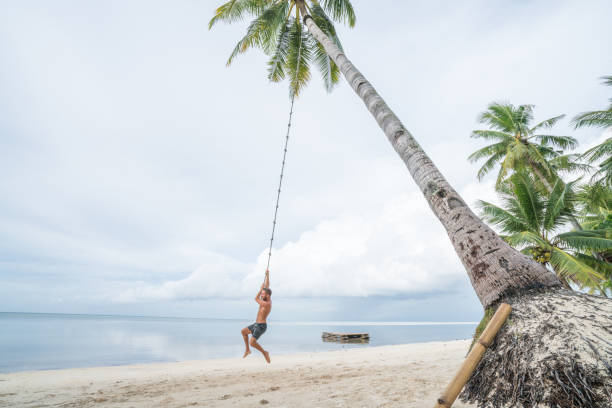 istock Young man paying on beach, swing rope on palm tree 952359790