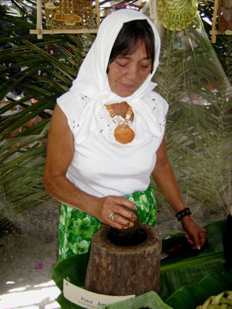 mulher batendo ervas em almofariz e pilão - saipan - fotografias e filmes do acervo