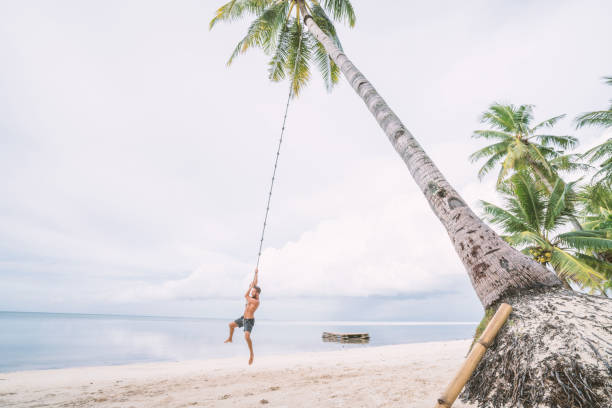 istock Young man paying on beach, swing rope on palm tree 952359902