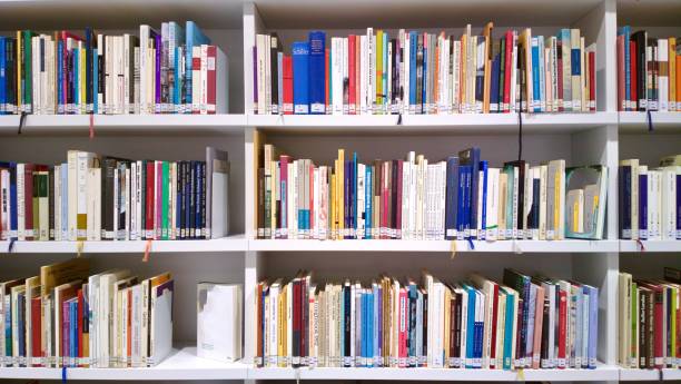 istock View of fully packed books shelves 952361476