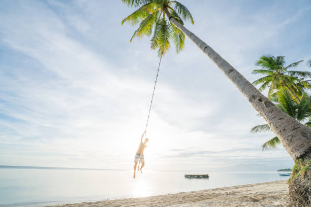 istock Young man playing on beach, swing rope on palm tree 952366746