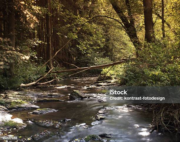 Stream Flowing Through The Wispertal Stock Photo - Download Image Now - Agriculture, Biomass - Renewable Energy Source, Central Europe