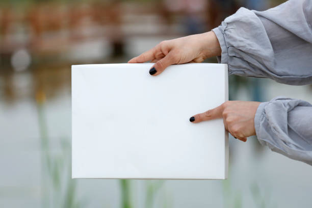 istock Woman Holding Blank White Cardboard 952393094