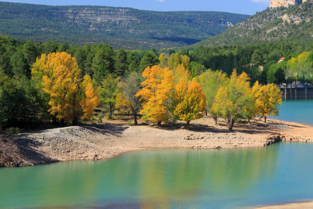 herbstfarben in den bergen der serrania de cuenca in spanien - cuenca province stock-fotos und bilder