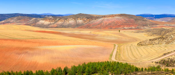 farbige landschaft in den bergen der serrania de cuenca in spanien - cuenca province stock-fotos und bilder