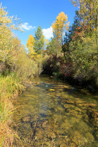 couleurs d’automne dans les montagnes de la serrania de cuenca en espagne - cuenca province photos et images de collection