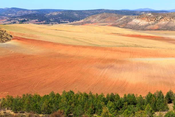 farbige landschaft in den bergen der serrania de cuenca in spanien - cuenca province stock-fotos und bilder