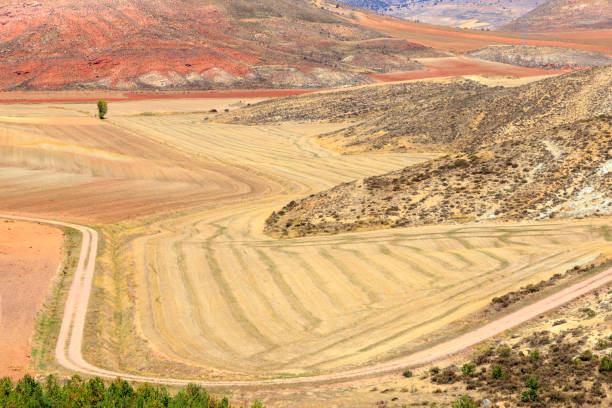 paysage coloré dans les montagnes de la serrania de cuenca en espagne - cuenca province photos et images de collection