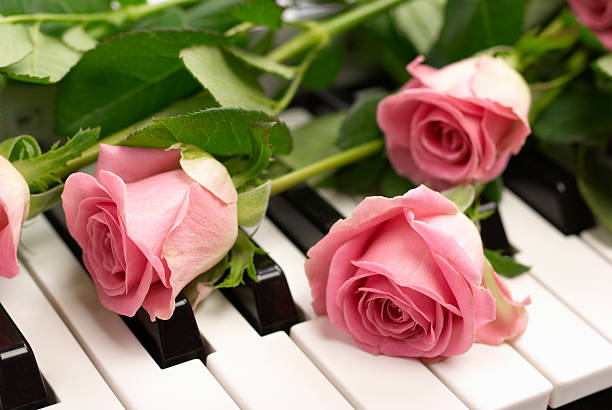 istock Pink Roses on Piano Keyboard 95240518