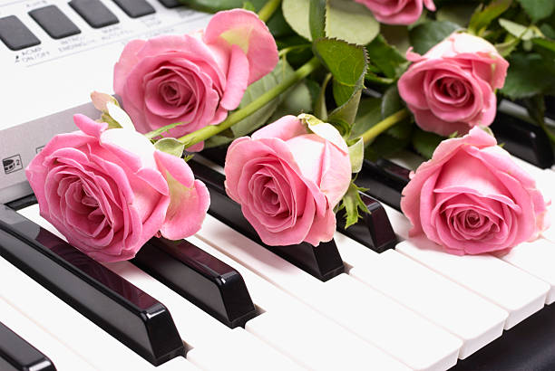 istock Pink Roses on Professional MIDI-keyboard 95240519