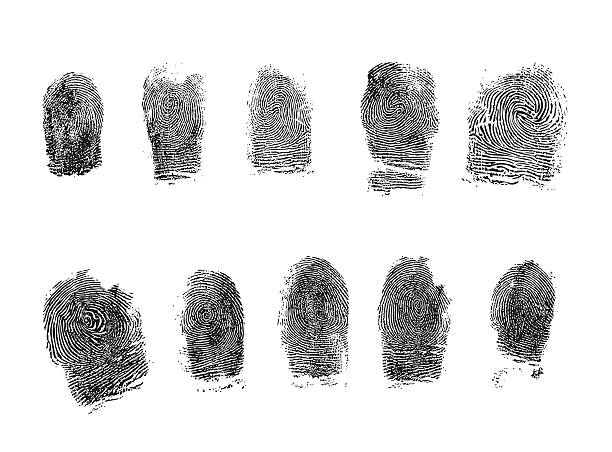 Hiquality finger track  fingerprint stock illustrations