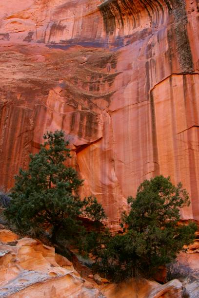 istock Capitol Reef, Utah - December 12 2017: Great Wash 952422682