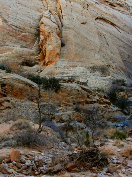 istock Capitol Reef, Utah - December 12 2017: Great Wash 952422750
