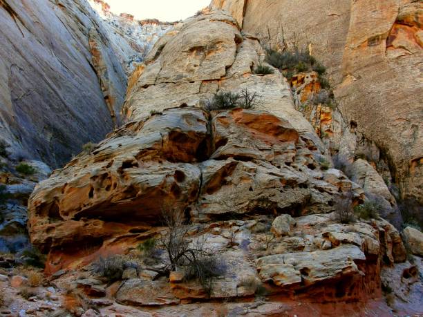 istock Capitol Reef, Utah - December 12 2017: Great Wash 952423002