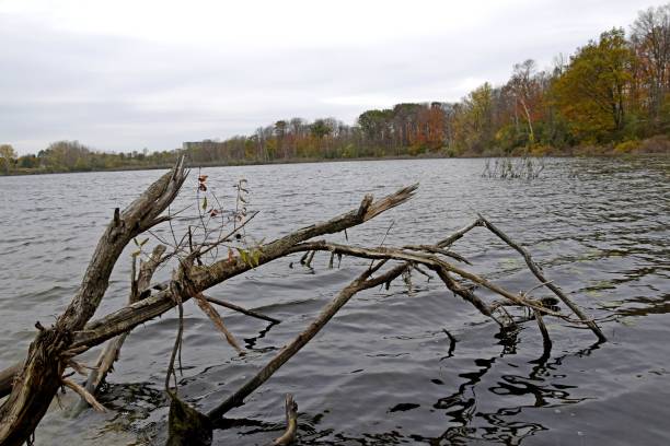 istock Westminster Ponds, London Ontario 952433080