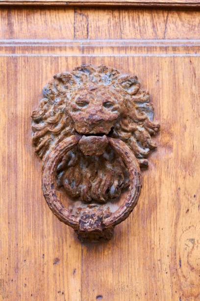 istock Vintage door kocker - lion head shape 952456062